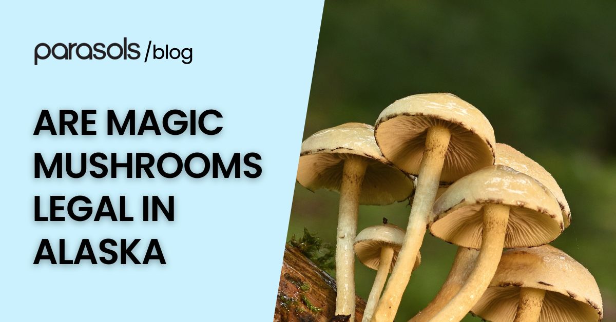 are magic mushrooms legal in Alaska featured image