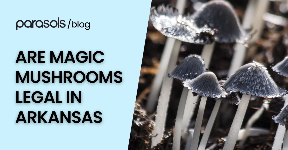 are magic mushrooms legal in Arkansas featured image