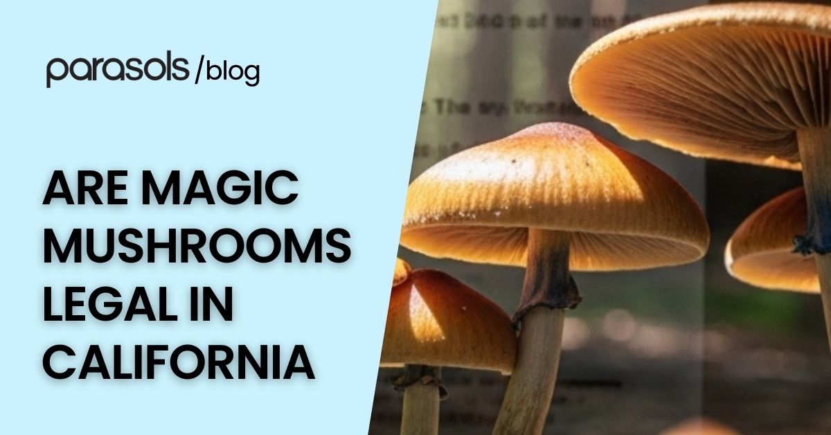 are magic mushrooms legal in California featured image
