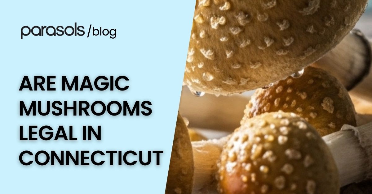 are magic mushrooms legal in Connecticut featured image