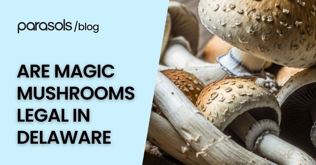 are magic mushrooms legal in Delaware featured image