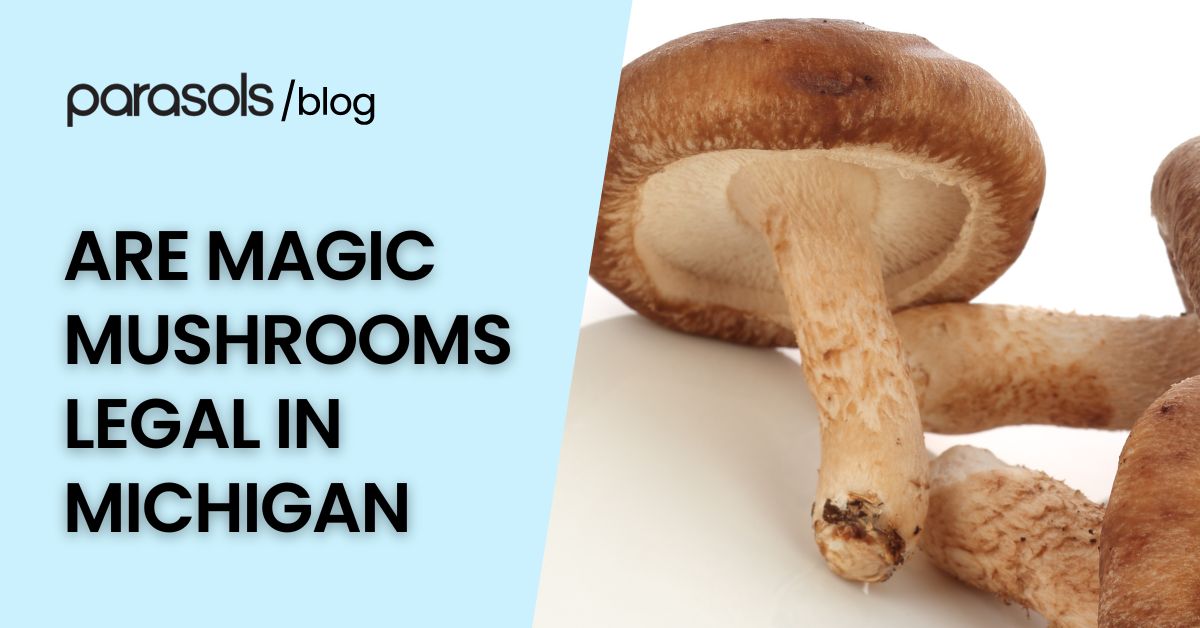 are magic mushrooms legal in Michigan featured image