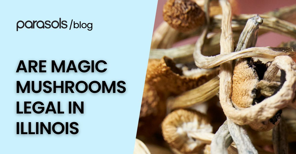 are magic mushrooms legal in Illinois featured image