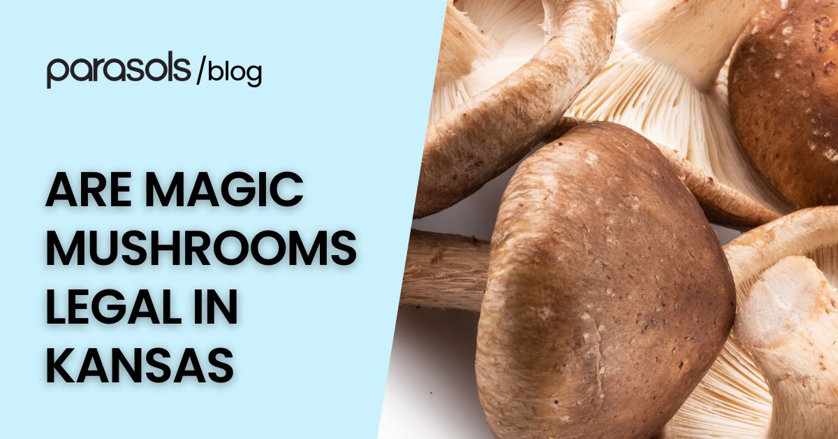 Are Magic Mushrooms Legal in Kansas? Here are 5 Legal Notes