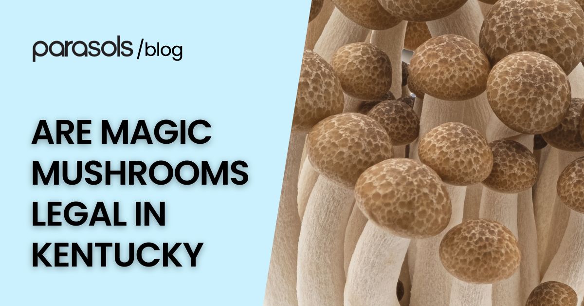 Are Magic Mushrooms Legal in Kentucky? 7 Pointers on KY Law