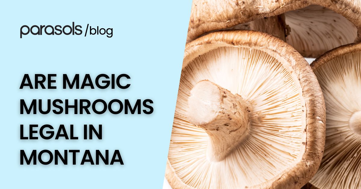 are magic mushrooms legal in Montana featured image
