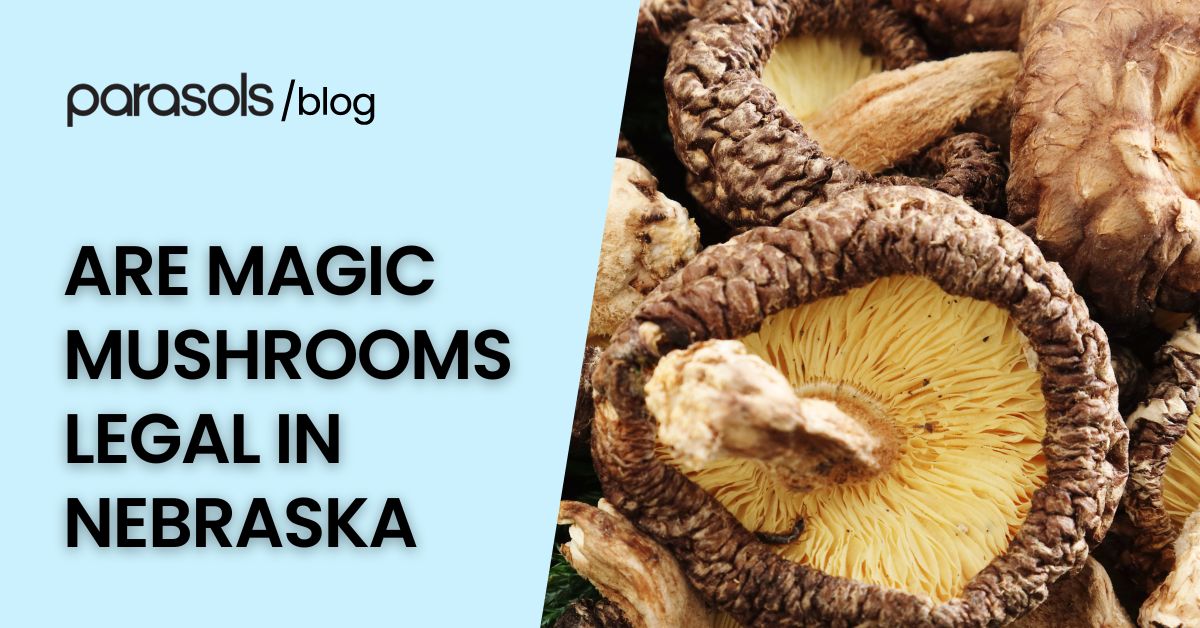 Are Magic Mushrooms Legal in Nebraska? 4 Points to Note