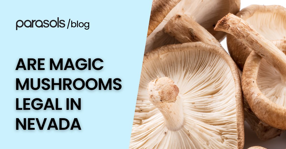 Are Magic Mushrooms Legal in Nevada? 3 Legalities to Note