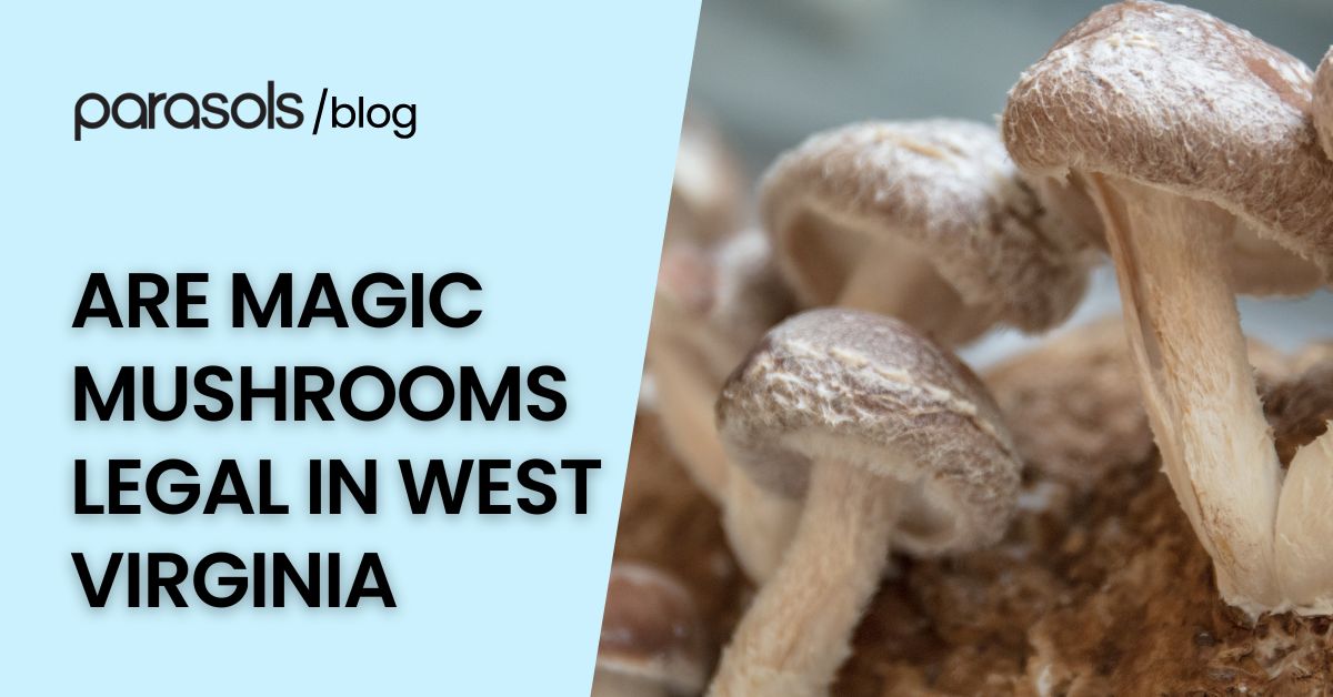 Are Magic Mushrooms Legal in West Virginia? 3 Legal Notes