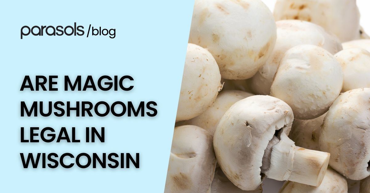 are magic mushrooms legal in Wisconsin featured image