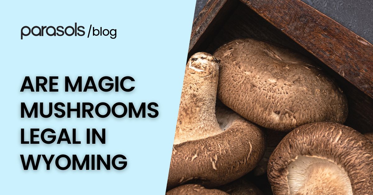 are magic mushrooms legal in Wyoming featured image