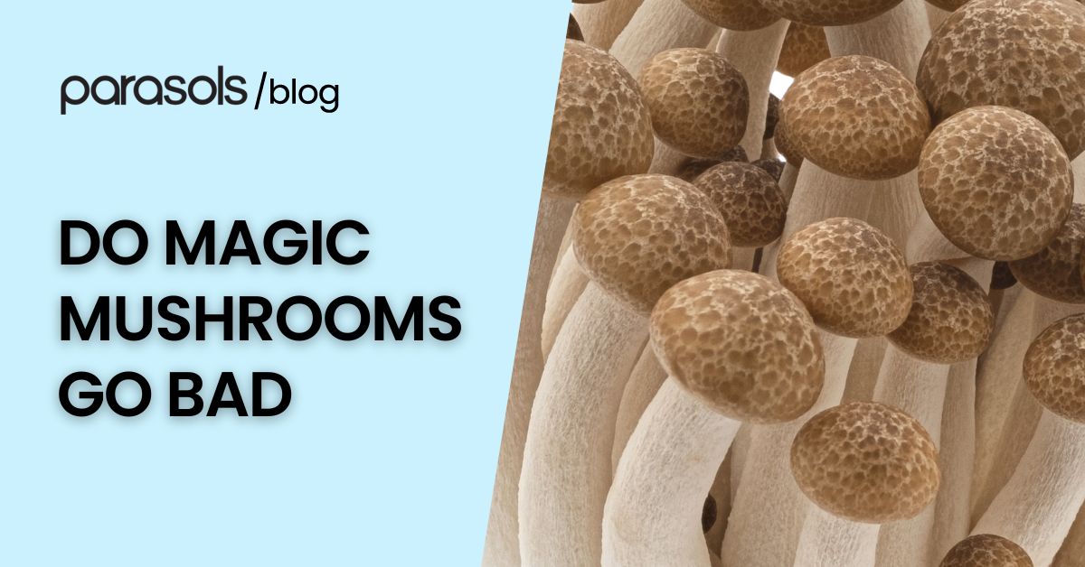 do magic mushrooms go bad featured image