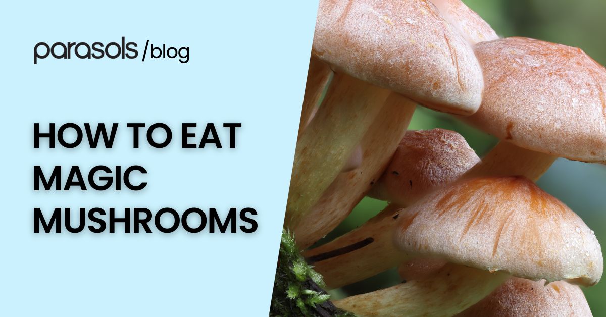 how to eat magic mushrooms featured image