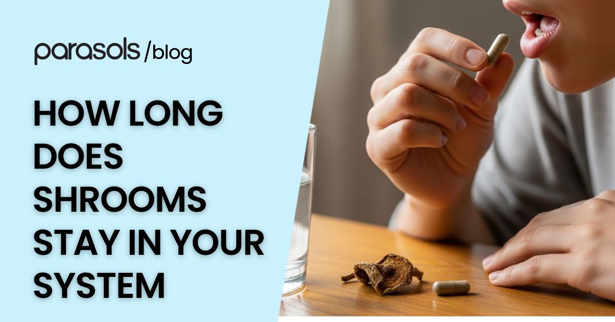 Person holding a capsule with dried mushrooms on a table and a glass of water, representing how long does shrooms stay in your system.