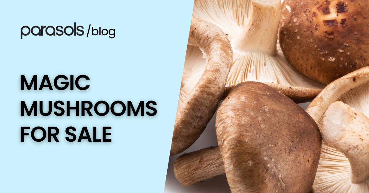 Magic mushrooms for sale featured image