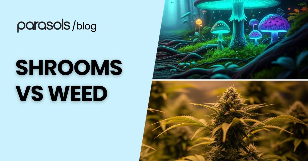 shrooms vs weed featured image