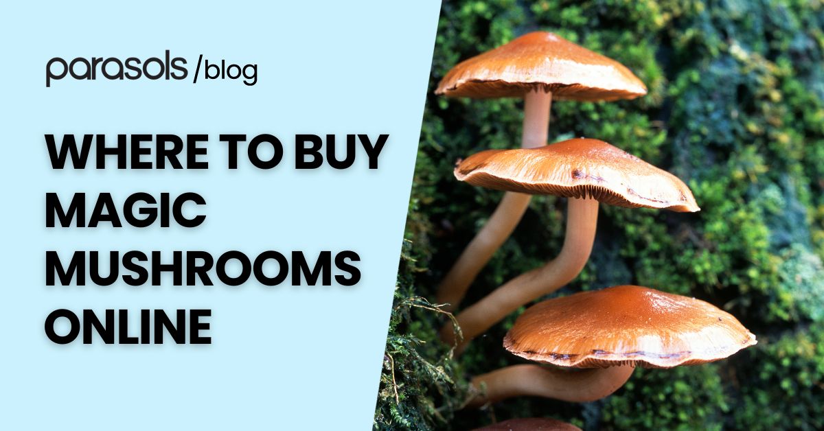 where to buy magic mushrooms online featured image