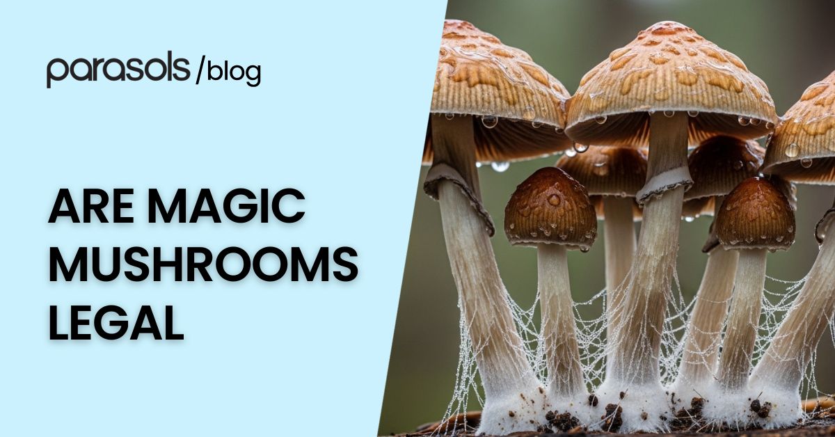 are magic mushrooms legal featured image