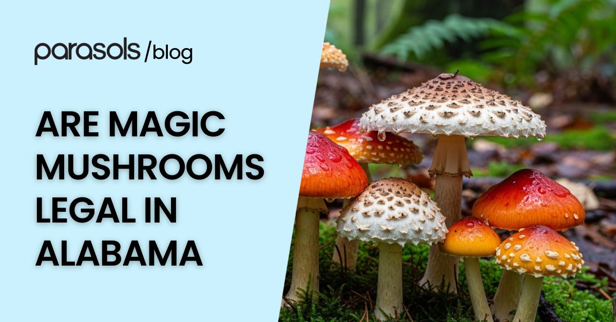 are magic mushrooms legal in Alabama featured image