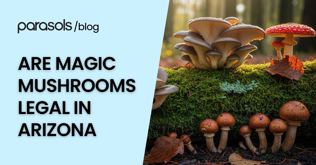 are magic mushrooms legal in Arizona featured image