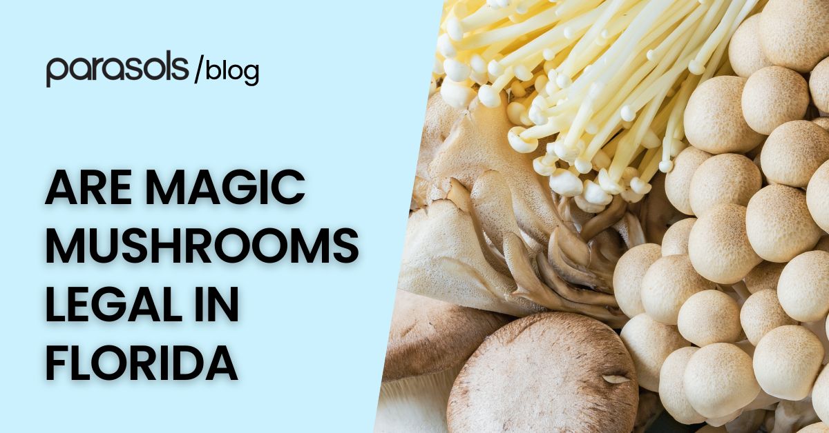 are magic mushrooms legal in Florida featured image
