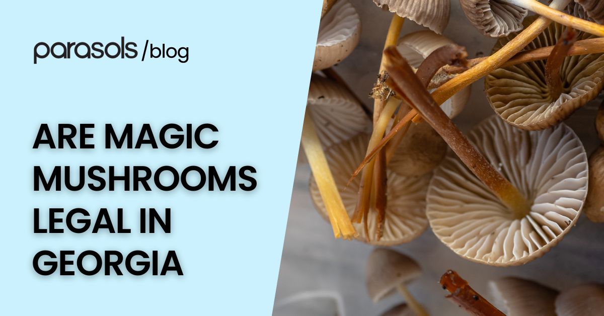are magic mushrooms legal in Georgia