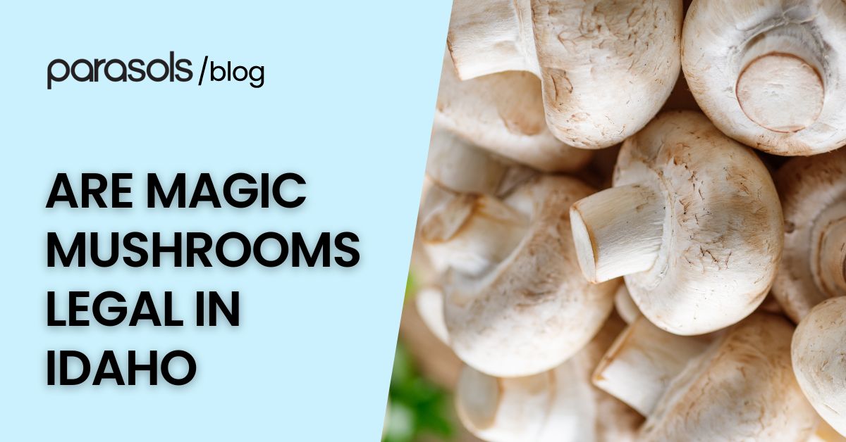 are magic mushrooms legal in Idaho featured image