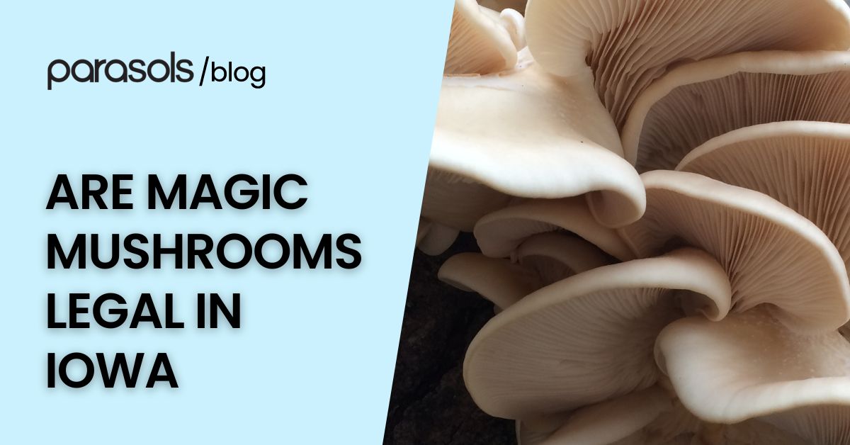are magic mushrooms legal in Iowa featured image