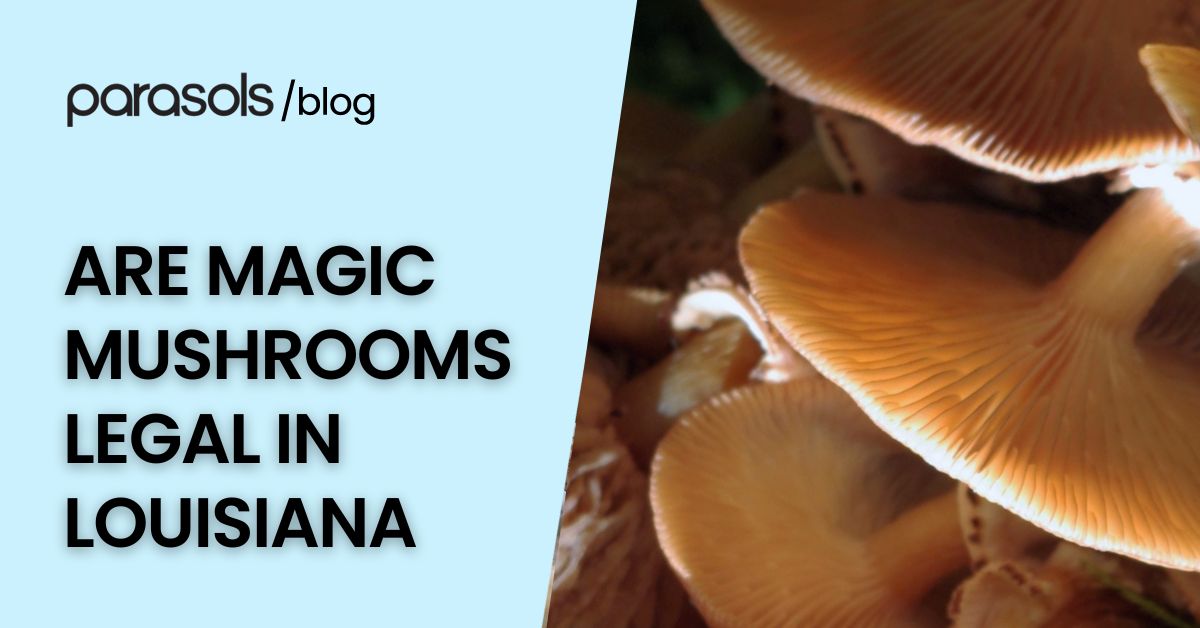 are magic mushrooms legal in Louisiana featured image