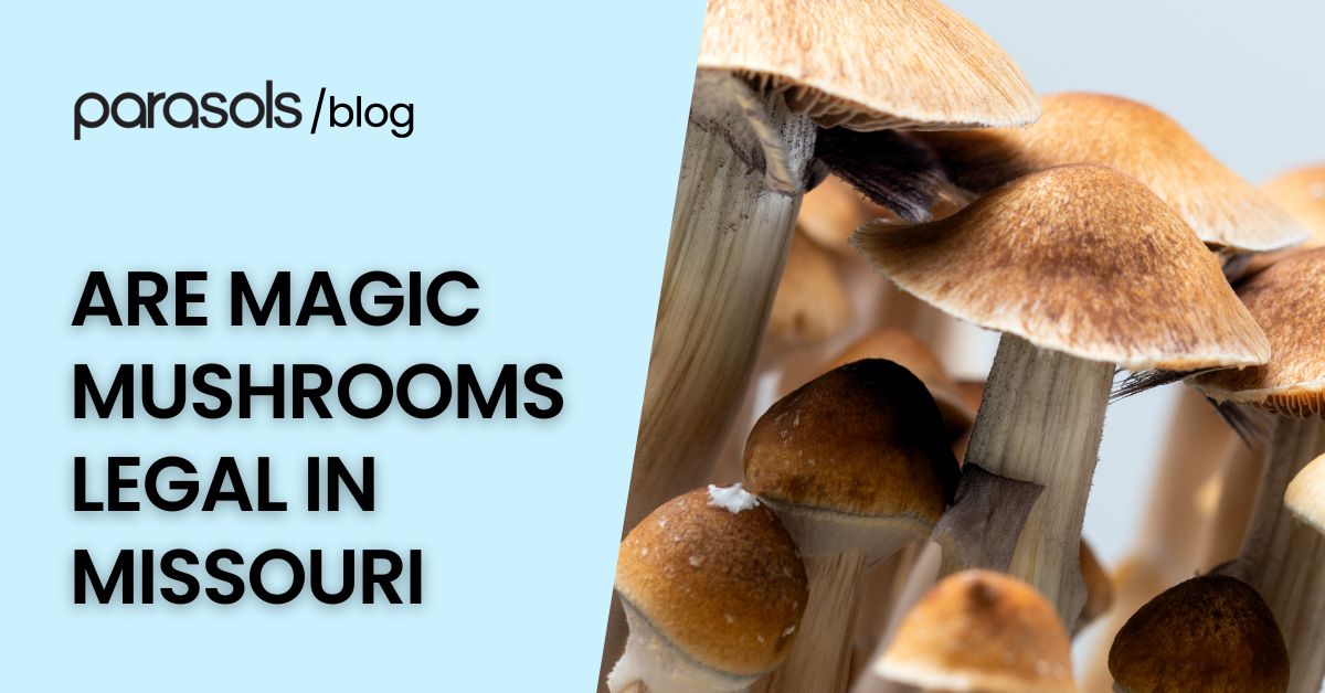 are magic mushrooms legal in Missouri featured image