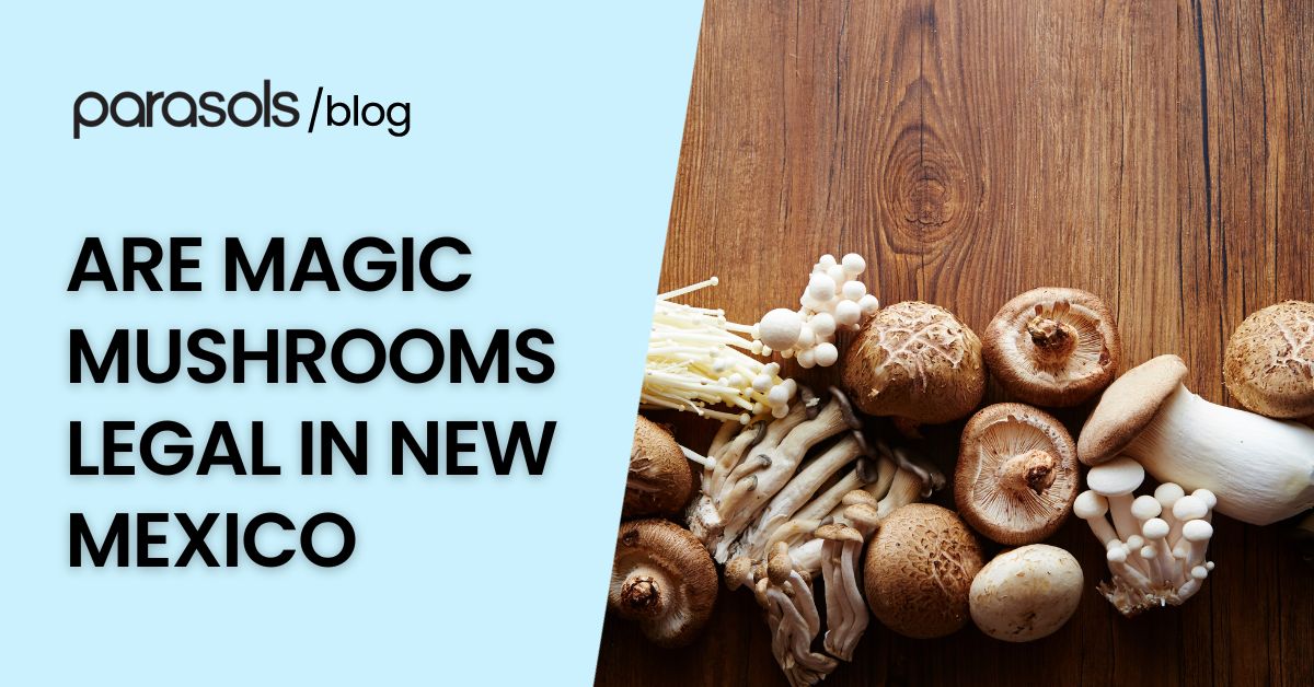 Are Magic Mushrooms Legal in New Mexico? 4 Must-Know Points