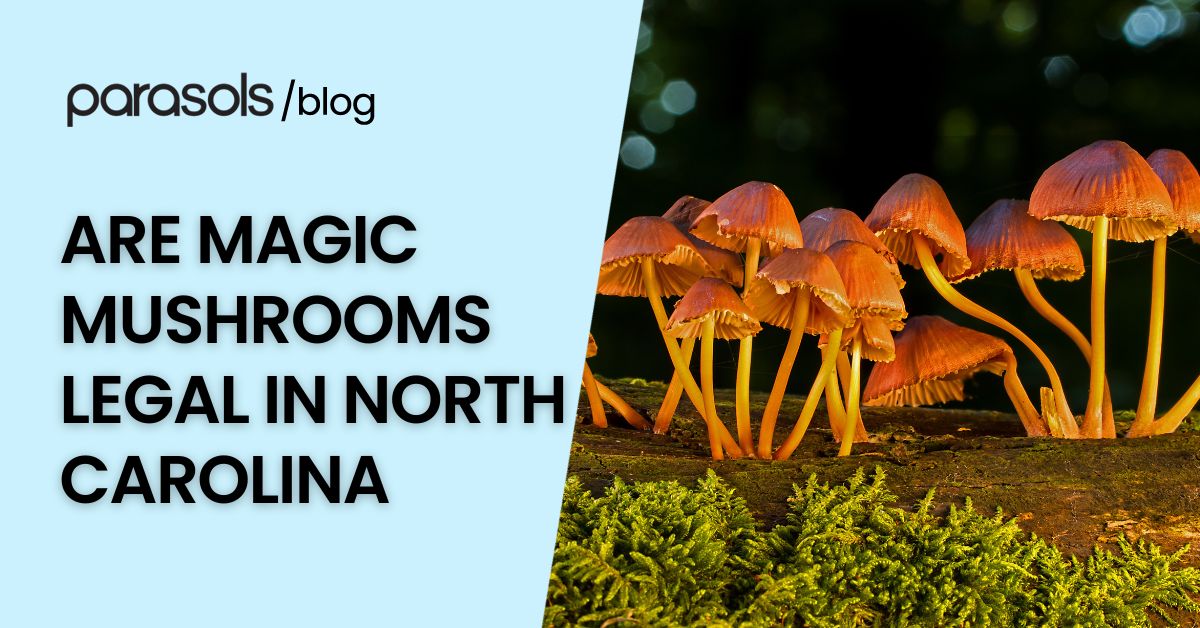 are magic mushrooms legal in North Carolina featured image