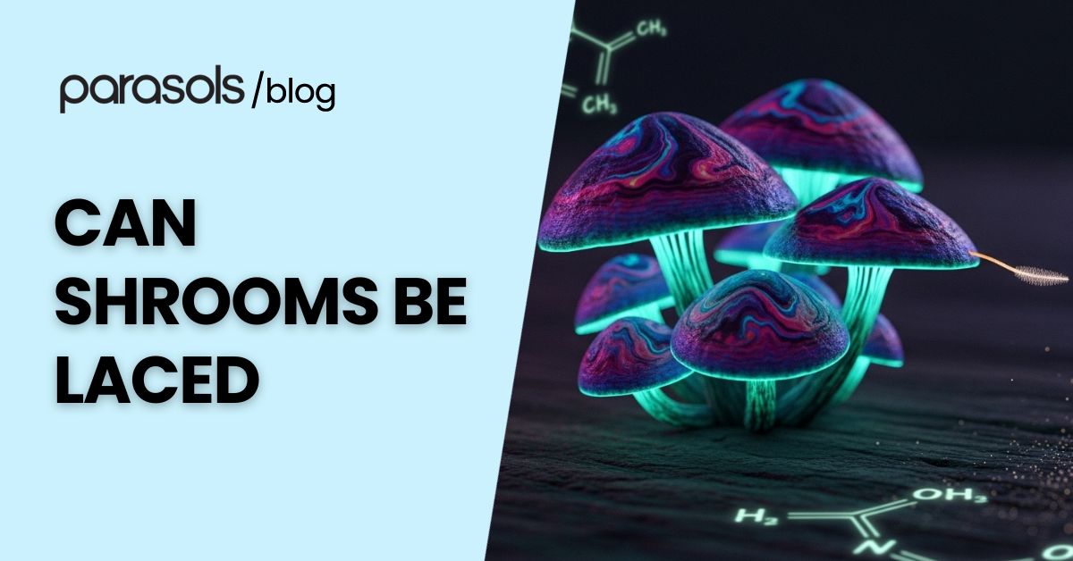 Close-up image showing magic mushrooms surrounded by subtle powder traces, representing the question can shrooms be laced and highlighting the risks of contaminated or mixed substances.