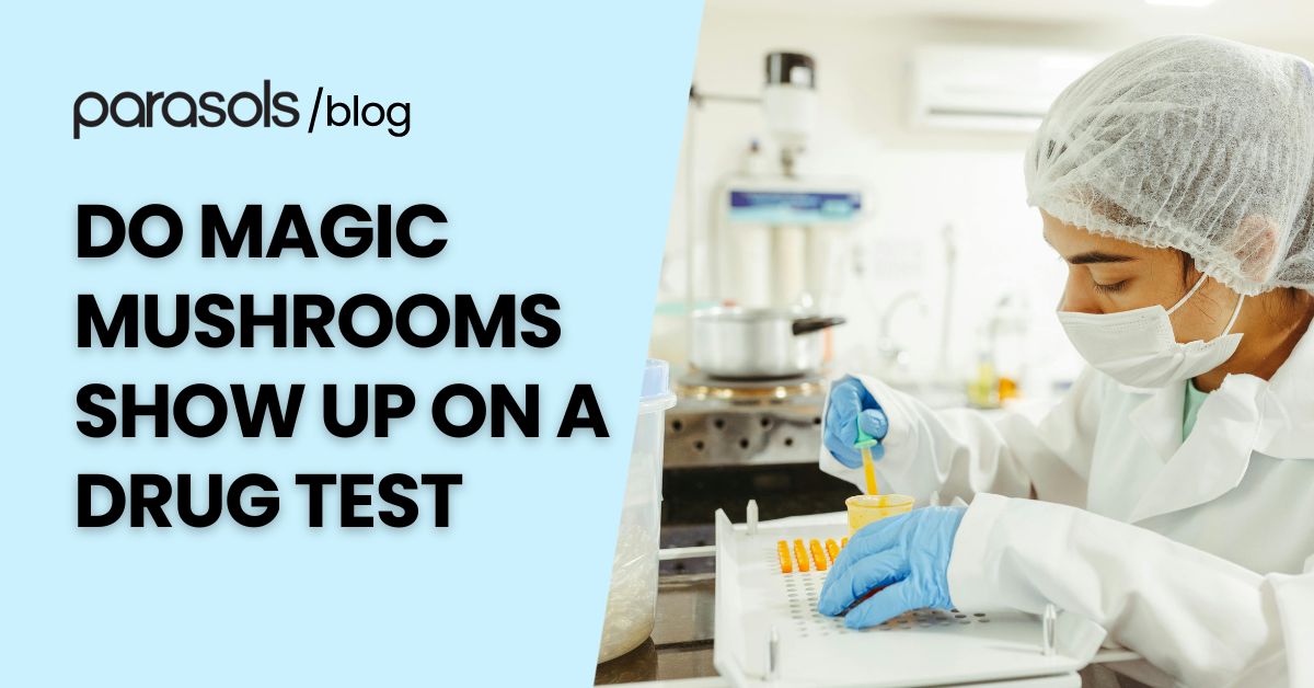 do magic mushrooms show up on a drug test featured image