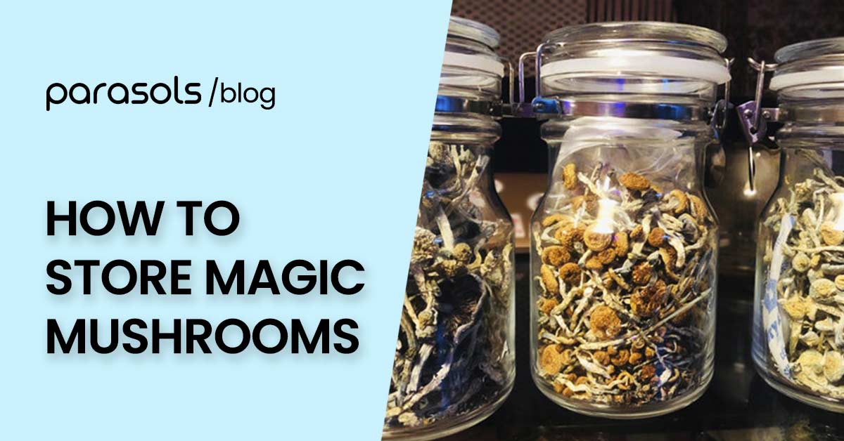 how to store magic mushrooms featured image