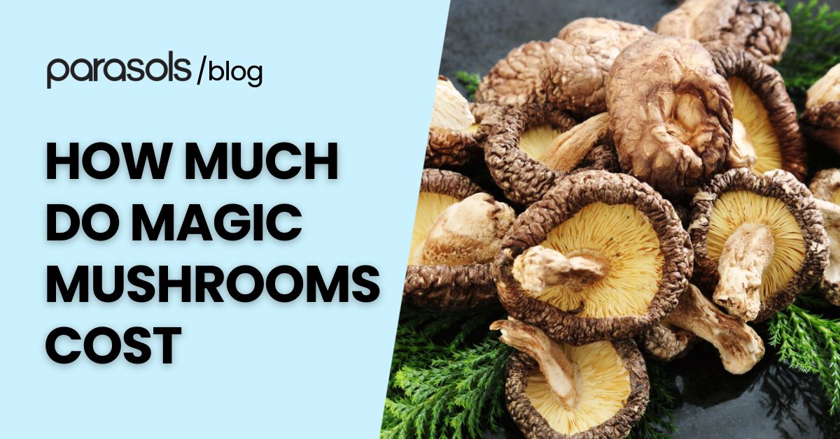 how much do magic mushrooms cost featured image