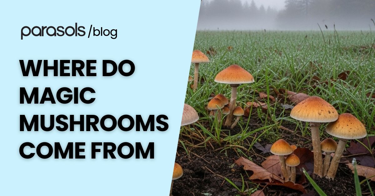 where do magic mushrooms come from featured image