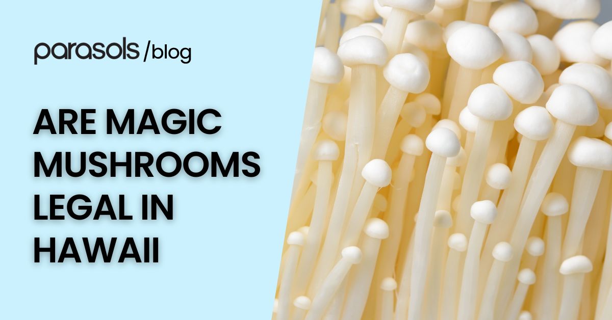 are magic mushrooms legal in Hawaii featured image