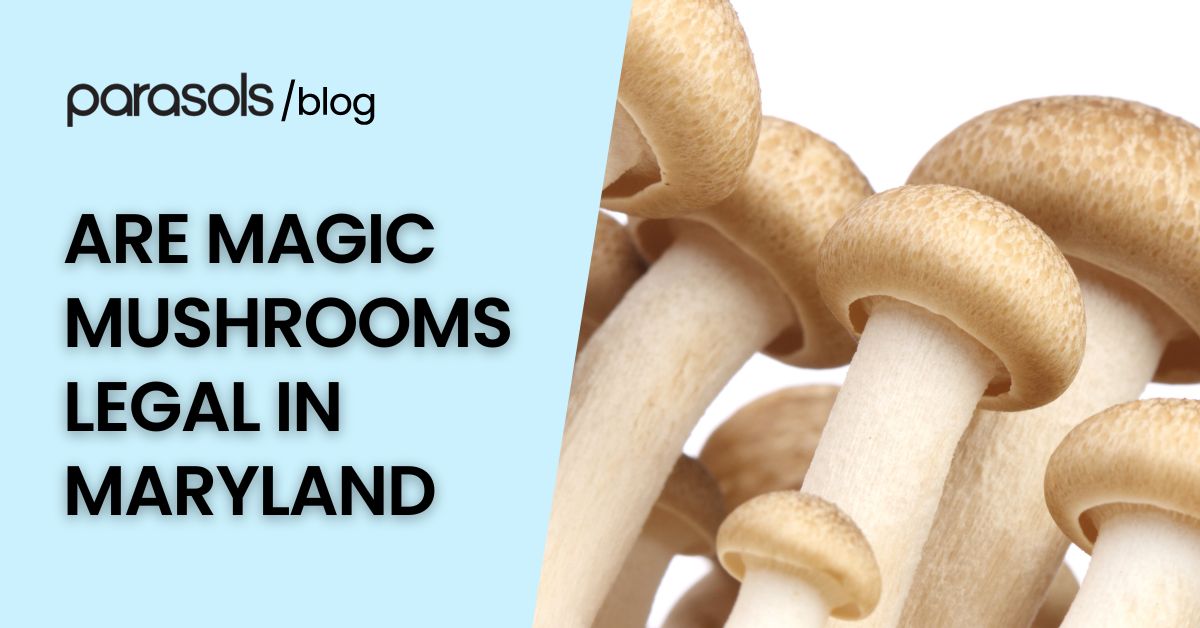 are magic mushrooms legal in Maryland featured image