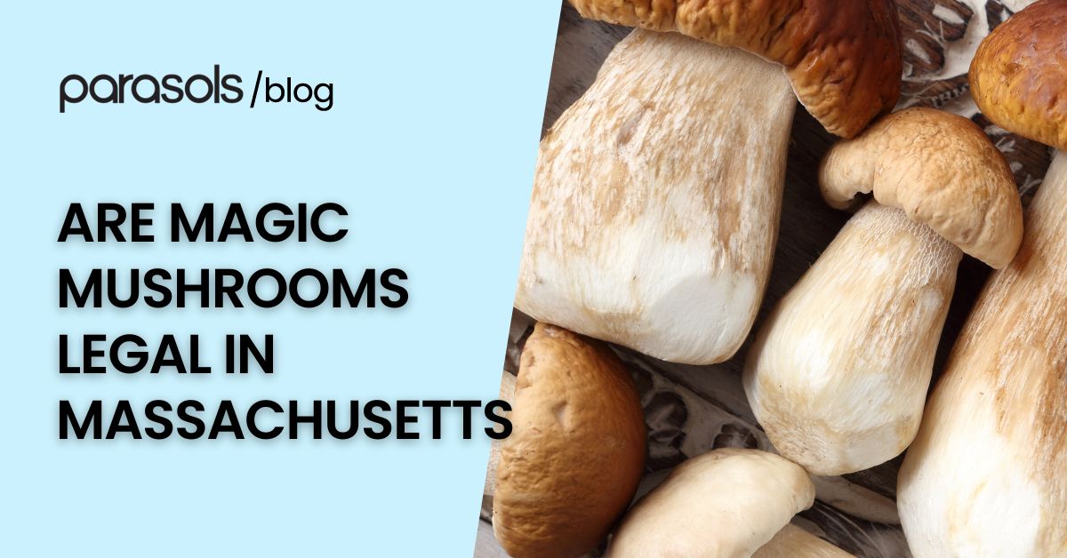 are magic mushrooms legal in Massachusetts featured image