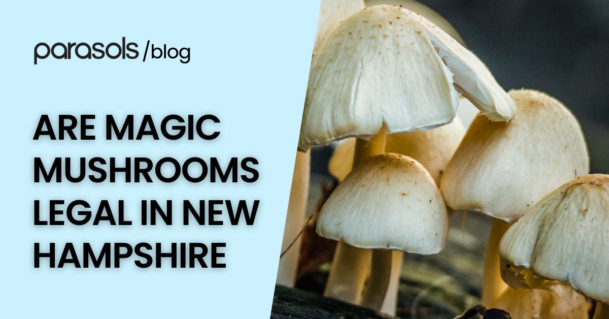 are magic mushrooms legal in New Hampshire featured image