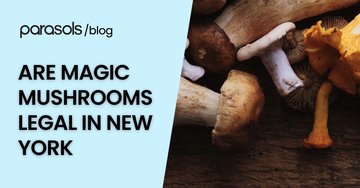 are magic mushrooms legal in New York featured image