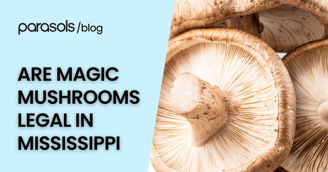 Are Magic Mushrooms Legal in MISSISSIPPI Featured Image