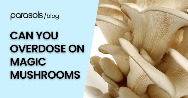 Can You Overdose on Magic Mushrooms? 6 Tips for Prevention