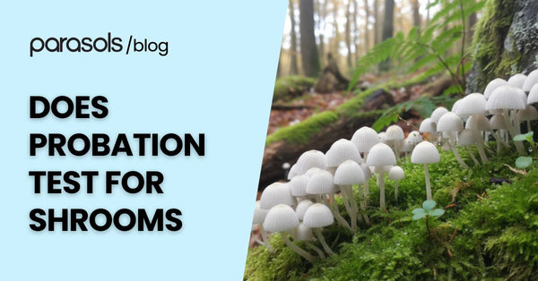 Does Probation Test for Shrooms? 5 Quick Facts to Know