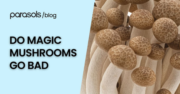 Do Magic Mushrooms Go Bad: 7 Factors to Identify Bad Shrooms