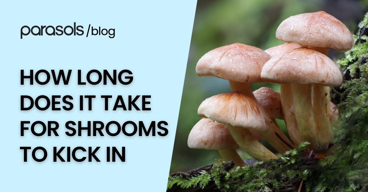 How Long Does It Take for Shrooms to Kick In? 6 Factors