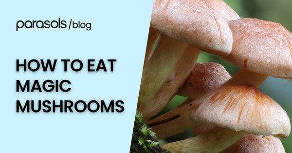 How to Eat Magic Mushrooms: 8 Tips to Maximize Consumption