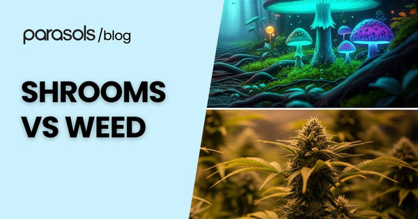 Shrooms Vs Weed: 6 Factors to Note When Choosing