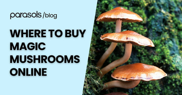 Where to Buy Magic Mushrooms Online: 4 Top Sources